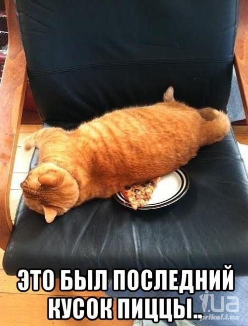 1038600 1507606