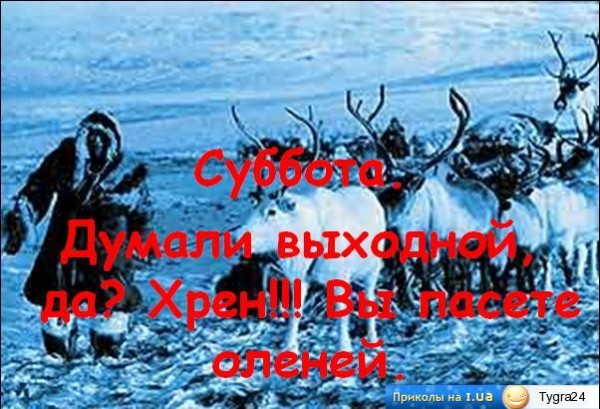 http://i1.i.ua/prikol/pic/0/0/235100_232437.jpg