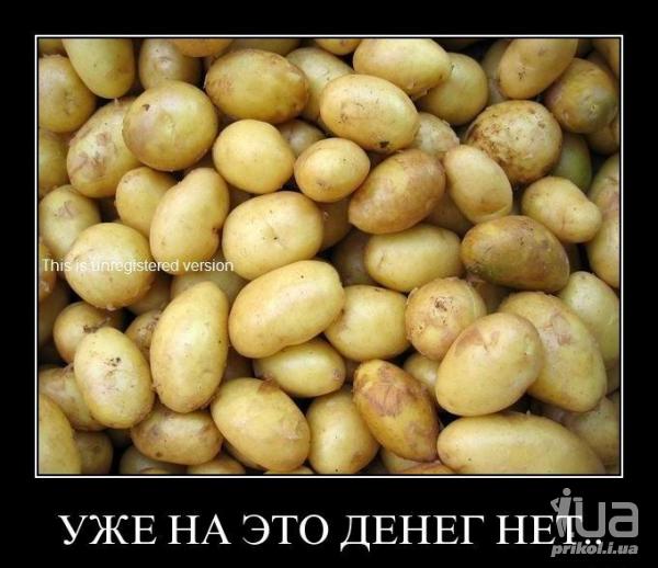 594700 559414
