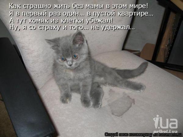 993300 1416047