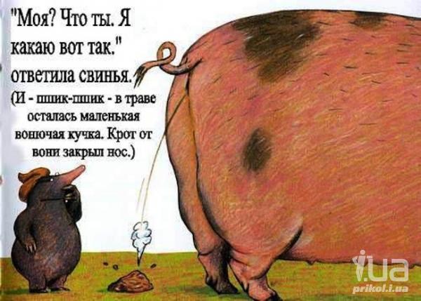 Опубликованное фото