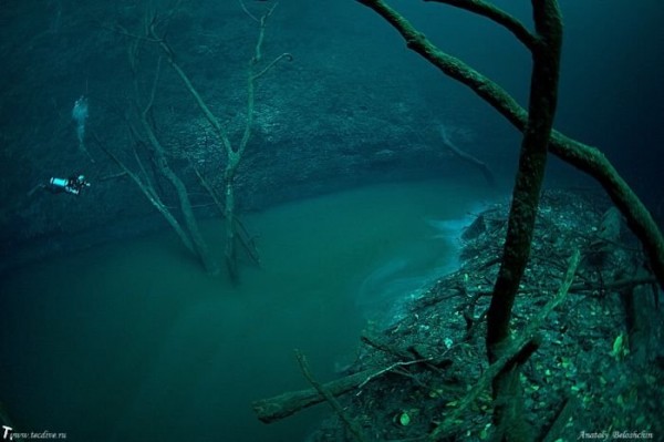 подводная река! - подводный мир, река