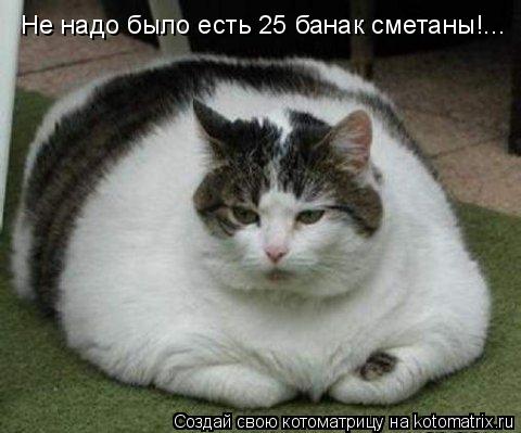 447711 430716