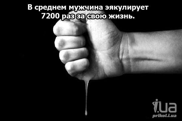 639011 641042