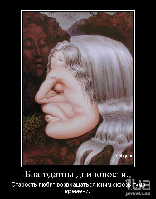 677411 726531