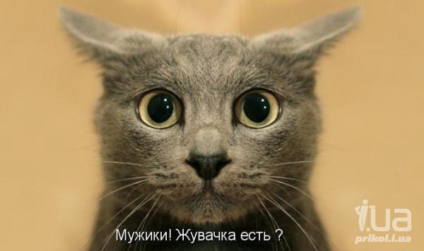 677411 726535