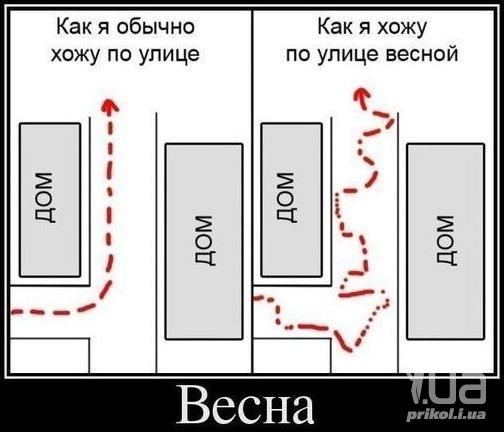 877911