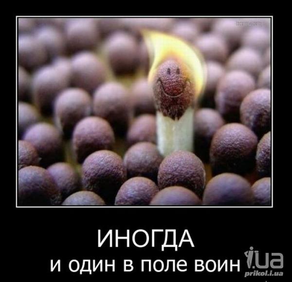 577631 546420