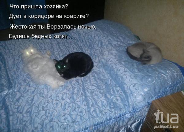 672681 714190