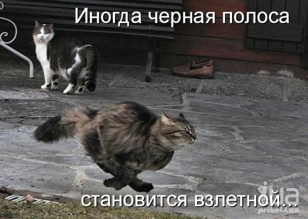 677022 725794