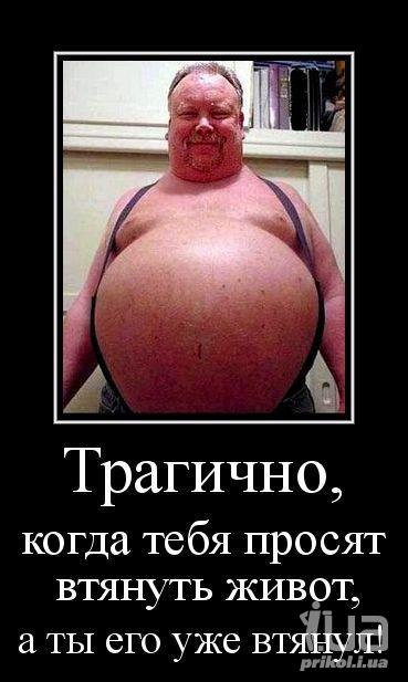 871622 1166205