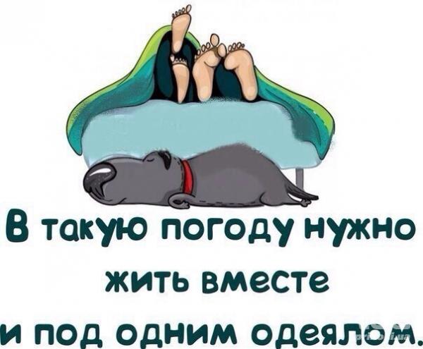 Картинка дня
