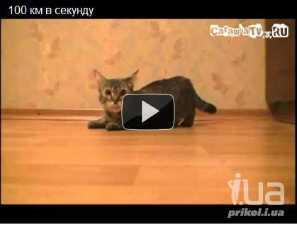 Смотреть фильм залечь на дно в брюгге в хорошем качестве hd 720