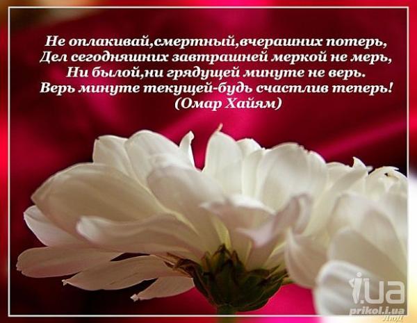 Поздравления афоризмы с днем рождения