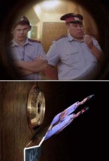 334833