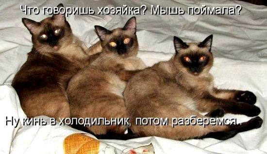 365833 352012