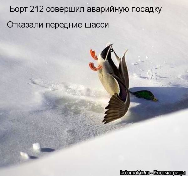 365833 352021