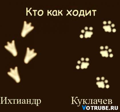 475933 459914