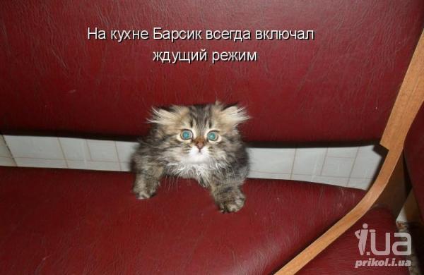 573533 542624