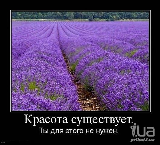 658333 683281