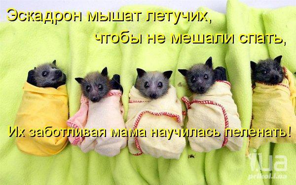 725533 817312