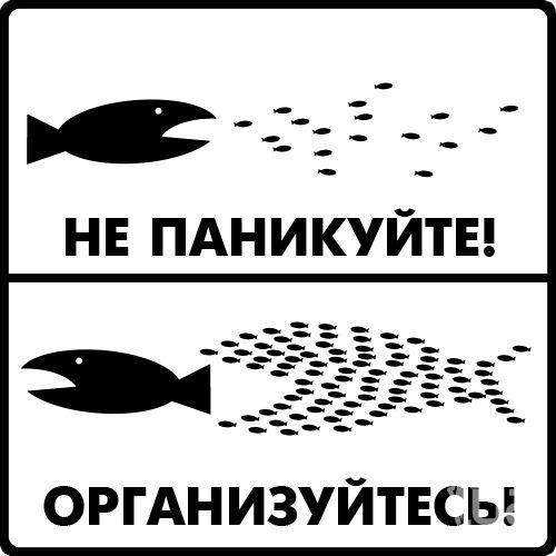 844233 1090852