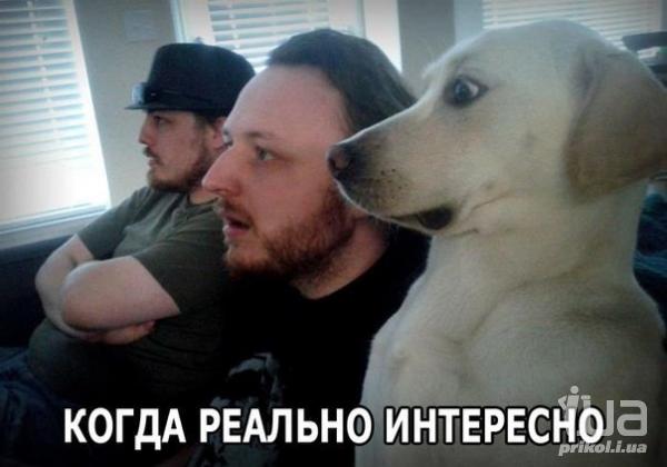 846533 1097660