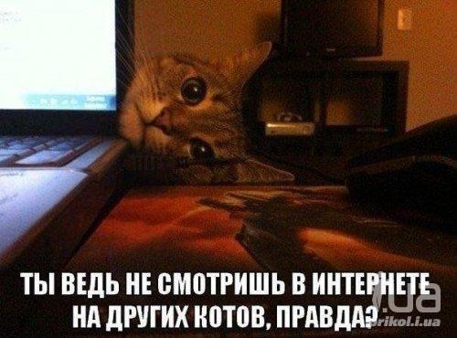 858933 1129954