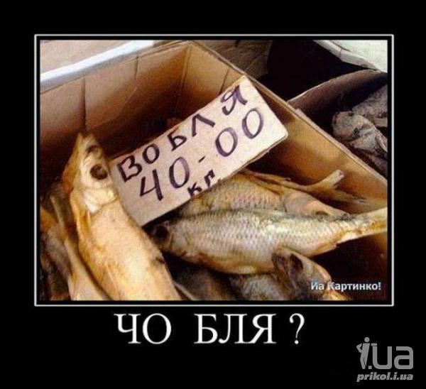 901433 1236877