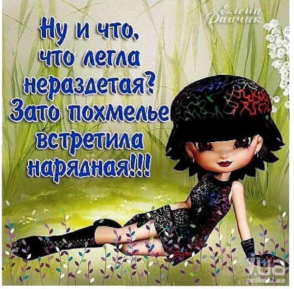 Поздравленья на похмелье Поздравленья на похмелье
