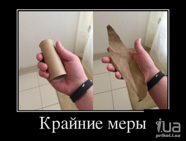 1037844 1505919