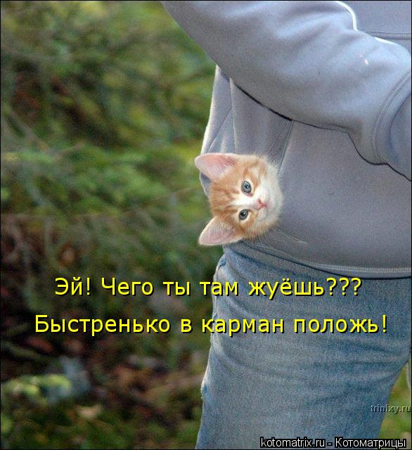 346444 332420