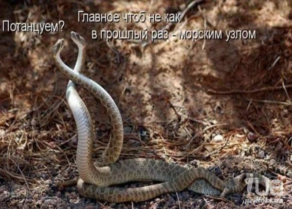 655444 677535