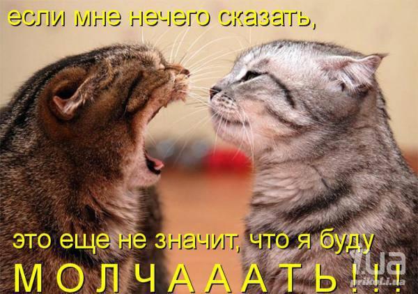 655444 677538