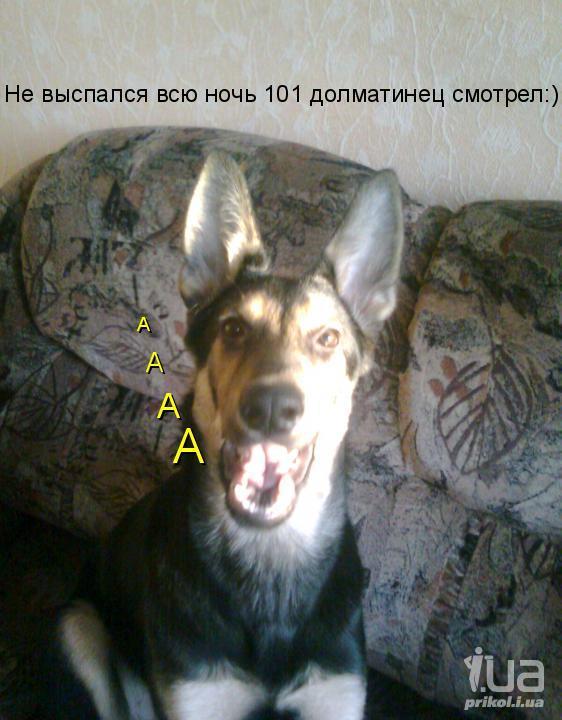 678244 728303