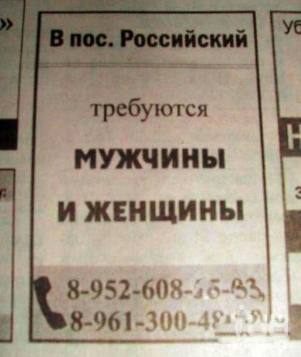 855344 1121169