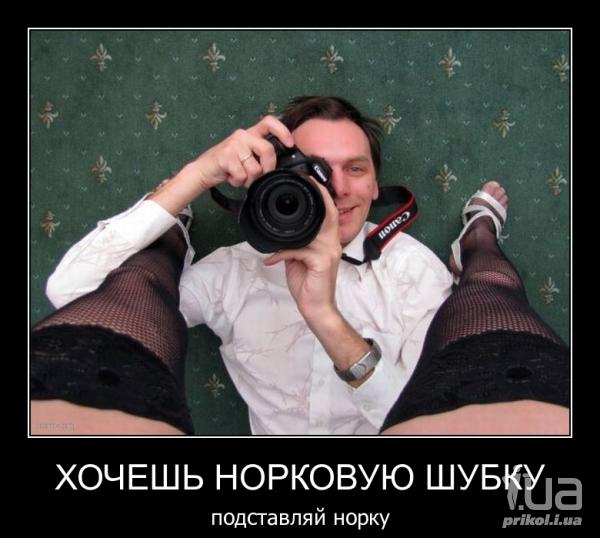 719554 803771