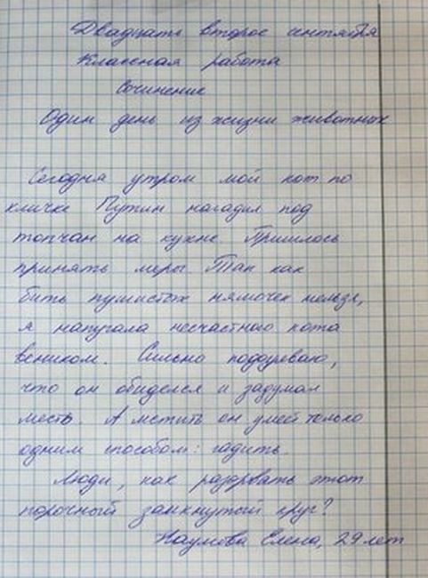 благородство сочинения на вольную тему благородство сочинения на вольную тему