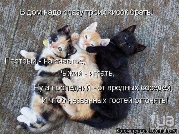 1000855 1432414