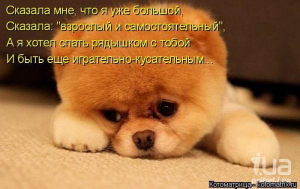 1000855 1432430