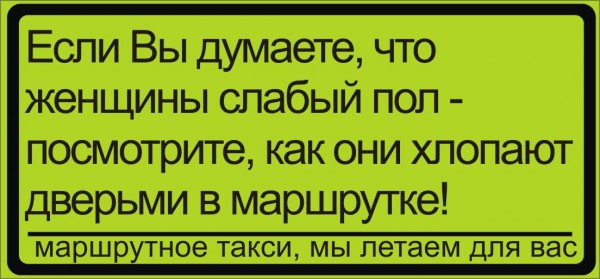 302555 294356