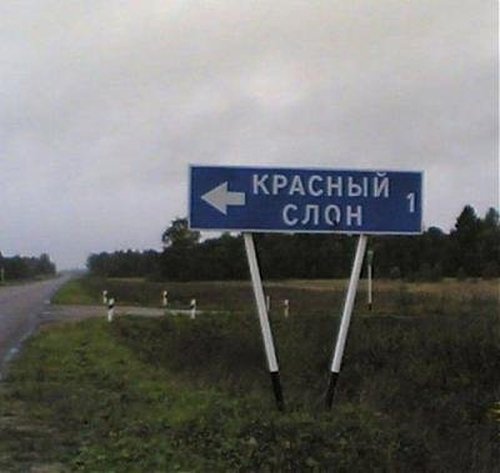 316355 307726