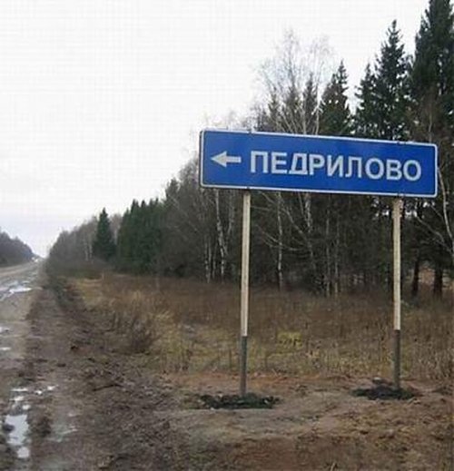 316355 307731