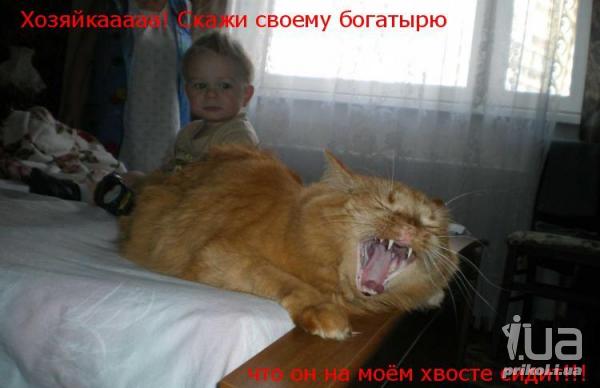 577855 546699