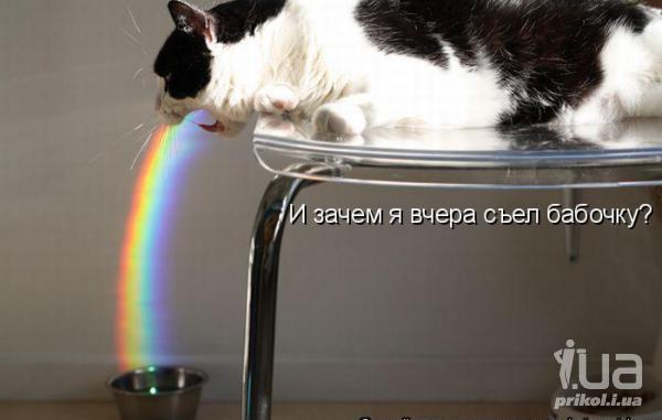 631055 619488