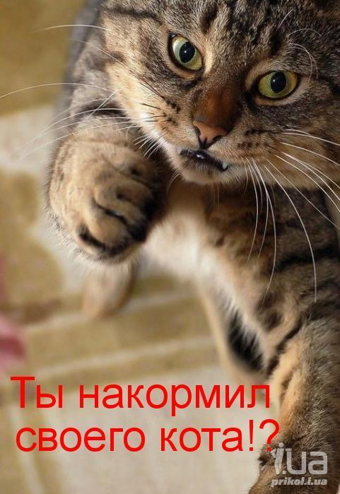 687155 748047