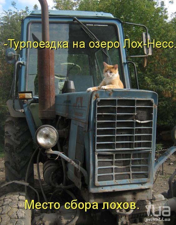 700755 772142
