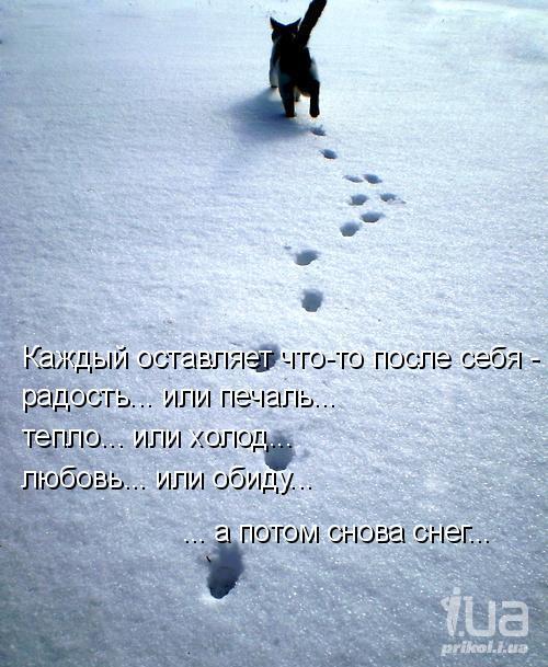 710155 788426