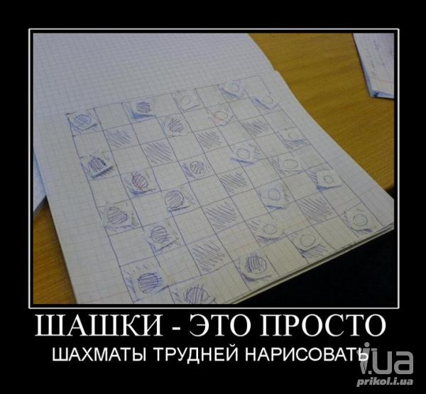 717055 800268