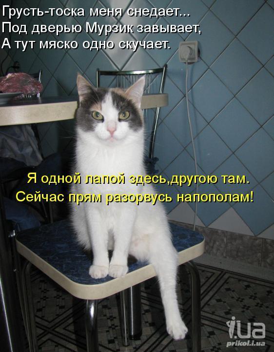 723555 813287